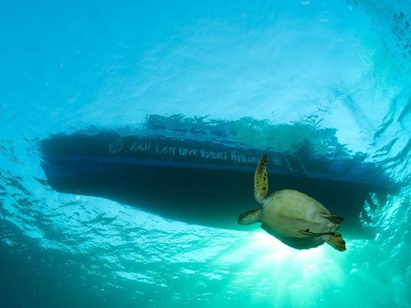 Raja Laut Dive Resort ブナケン エクステリア 写真